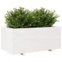 Jardinera madera maciza de pino blanco 110x60x49,5 cm de vidaXL, Maceteros y jardineras - Ref: Foro24-3282570, Precio: 223,21...