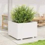 Jardinera madera maciza de pino blanco 70x70x49,5 cm de vidaXL, Maceteros y jardineras - Ref: Foro24-3282525, Precio: 182,47 ...