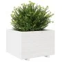 Jardinera madera maciza de pino blanco 70x70x49,5 cm de vidaXL, Maceteros y jardineras - Ref: Foro24-3282525, Precio: 182,47 ...