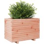 Jardinera madera maciza de abeto Douglas 70x40x49,5 cm de vidaXL, Maceteros y jardineras - Ref: Foro24-3282552, Precio: 130,2...