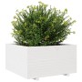 Jardinera madera maciza de pino blanco 90x90x49,5 cm de vidaXL, Maceteros y jardineras - Ref: Foro24-3282535, Precio: 239,29 ...