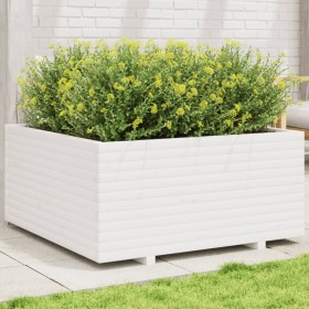 Jardinera madera maciza de pino blanco 100x100x49,5 cm de vidaXL, Maceteros y jardineras - Ref: Foro24-3282540, Precio: 269,0...