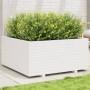 Jardinera madera maciza de pino blanco 100x100x49,5 cm de vidaXL, Maceteros y jardineras - Ref: Foro24-3282540, Precio: 269,0...