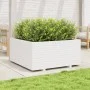 Jardinera madera maciza de pino blanco 100x100x49,5 cm de vidaXL, Maceteros y jardineras - Ref: Foro24-3282540, Precio: 265,5...