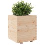 Jardinera madera maciza de pino 60x60x72,5 cm de vidaXL, Maceteros y jardineras - Ref: Foro24-3282579, Precio: 186,87 €, Desc...