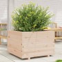 Jardinera de madera maciza de pino 70x70x49,5 cm de vidaXL, Maceteros y jardineras - Ref: Foro24-3282524, Precio: 156,74 €, D...