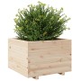 Jardinera de madera maciza de pino 70x70x49,5 cm de vidaXL, Maceteros y jardineras - Ref: Foro24-3282524, Precio: 156,74 €, D...