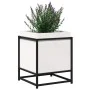Jardinera de madera maciza de pino blanca 40x40x50 cm de vidaXL, Maceteros y jardineras - Ref: Foro24-847019, Precio: 55,84 €...