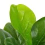 Planta artificial ficus con macetero 90 cm verde de vidaXL, Flora artificial - Ref: Foro24-280172, Precio: 36,94 €, Descuento: %