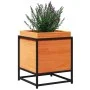 Jardinera de madera maciza pino marrón cera 40x40x50 cm de vidaXL, Maceteros y jardineras - Ref: Foro24-847020, Precio: 53,57...
