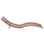 Tumbonas plegables 2 unidades madera maciza de teca de vidaXL, Tumbonas - Ref: Foro24-3073170, Precio: 335,23 €, Descuento: %
