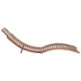 Tumbonas plegables 2 unidades madera maciza de teca de vidaXL, Tumbonas - Ref: Foro24-3073170, Precio: 335,23 €, Descuento: %