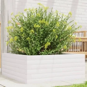 Jardinera de madera maciza de pino blanca 60x60x23 cm de vidaXL, Maceteros y jardineras - Ref: Foro24-847189, Precio: 73,98 €...