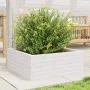 Jardinera de madera maciza de pino blanca 60x60x23 cm de vidaXL, Maceteros y jardineras - Ref: Foro24-847189, Precio: 73,98 €...