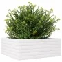 Jardinera de madera maciza de pino blanca 60x60x23 cm de vidaXL, Maceteros y jardineras - Ref: Foro24-847189, Precio: 73,98 €...