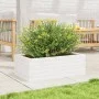 Jardinera de madera maciza de pino blanca 70x40x23 cm de vidaXL, Maceteros y jardineras - Ref: Foro24-847219, Precio: 56,12 €...