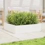 Jardinera de madera maciza de pino blanca 90x90x23 cm de vidaXL, Maceteros y jardineras - Ref: Foro24-847204, Precio: 77,82 €...