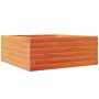 Jardinera de madera maciza pino marrón cera 60x60x23 cm de vidaXL, Maceteros y jardineras - Ref: Foro24-847190, Precio: 74,92...