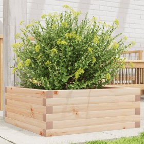 Jardinera de madera maciza de pino 60x60x23 cm de vidaXL, Maceteros y jardineras - Ref: Foro24-847188, Precio: 63,32 €, Descu...