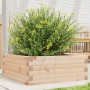 Jardinera de madera maciza de pino 60x60x23 cm de vidaXL, Maceteros y jardineras - Ref: Foro24-847188, Precio: 63,32 €, Descu...