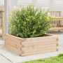 Jardinera de madera maciza de pino 60x60x23 cm de vidaXL, Maceteros y jardineras - Ref: Foro24-847188, Precio: 63,32 €, Descu...