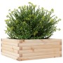 Jardinera de madera maciza de pino 60x60x23 cm de vidaXL, Maceteros y jardineras - Ref: Foro24-847188, Precio: 63,32 €, Descu...
