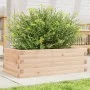 Jardinera de madera maciza de pino 70x40x23 cm de vidaXL, Maceteros y jardineras - Ref: Foro24-847218, Precio: 47,41 €, Descu...