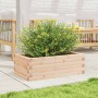 Jardinera de madera maciza de pino 70x40x23 cm de vidaXL, Maceteros y jardineras - Ref: Foro24-847218, Precio: 58,59 €, Descu...