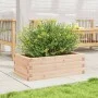 Jardinera de madera maciza de pino 70x40x23 cm de vidaXL, Maceteros y jardineras - Ref: Foro24-847218, Precio: 47,41 €, Descu...