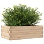 Jardinera de madera maciza de pino 70x40x23 cm de vidaXL, Maceteros y jardineras - Ref: Foro24-847218, Precio: 47,41 €, Descu...