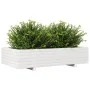 Jardinera de madera maciza de pino blanco 110x60x26,5 cm de vidaXL, Maceteros y jardineras - Ref: Foro24-847349, Precio: 107,...