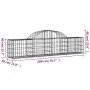 Cestas de gaviones 14 uds forma de arco hierro 200x30x40/60 cm de , Maceteros y jardineras - Ref: Foro24-3146059, Precio: 604...