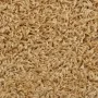 Alfombras de peldaños de escalera 15 uds crema 56x17x3 cm de vidaXL, Alfombrillas para escalones - Ref: Foro24-133896, Precio...