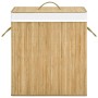 Cesto de ropa sucia de bambú 2 secciones 100 l de vidaXL, Cestas para ropa - Ref: Foro24-320740, Precio: 38,38 €, Descuento: %