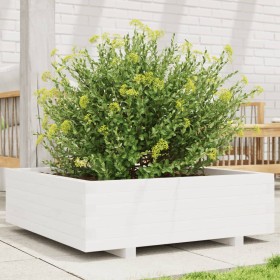 Jardinera de madera maciza de pino blanca 80x80x26,5 cm de , Maceteros y jardineras - Ref: Foro24-847309, Precio: 101,16 €, D...