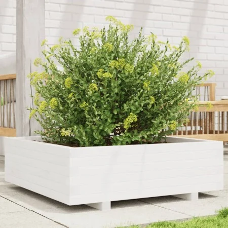 Jardinera de madera maciza de pino blanca 80x80x26,5 cm de , Maceteros y jardineras - Ref: Foro24-847309, Precio: 99,80 €, De...