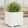 Jardinera madera maciza de pino blanco 50x50x49,5 cm de , Maceteros y jardineras - Ref: Foro24-847354, Precio: 105,73 €, Desc...