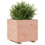 Jardinera madera maciza de abeto Douglas 50x50x49,5 cm de , Maceteros y jardineras - Ref: Foro24-847356, Precio: 94,65 €, Des...