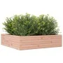 Jardinera de madera maciza Douglas 90x90x23 cm de , Maceteros y jardineras - Ref: Foro24-847206, Precio: 93,46 €, Descuento: %