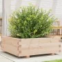 Jardinera de madera maciza de pino 70x70x26,5 cm de , Maceteros y jardineras - Ref: Foro24-847303, Precio: 73,66 €, Descuento: %