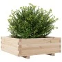 Jardinera de madera maciza de pino 70x70x26,5 cm de , Maceteros y jardineras - Ref: Foro24-847303, Precio: 73,66 €, Descuento: %