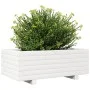Jardinera de madera maciza de pino blanco 70x40x26,5 cm de , Maceteros y jardineras - Ref: Foro24-847329, Precio: 61,90 €, De...
