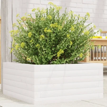 Jardinera de madera maciza de pino blanco 50x50x23 cm de , Maceteros y jardineras - Ref: Foro24-847184, Precio: 63,45 €, Desc...