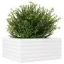 Jardinera de madera maciza de pino blanco 50x50x23 cm de , Maceteros y jardineras - Ref: Foro24-847184, Precio: 63,45 €, Desc...