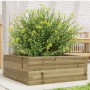 Jardinera de madera de pino impregnada 60x60x23 cm de , Maceteros y jardineras - Ref: Foro24-847192, Precio: 55,15 €, Descuen...