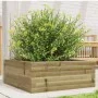Jardinera de madera de pino impregnada 60x60x23 cm de , Maceteros y jardineras - Ref: Foro24-847192, Precio: 54,40 €, Descuen...
