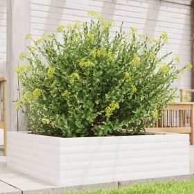 Jardinera de madera maciza de pino blanca 80x80x23 cm de , Maceteros y jardineras - Ref: Foro24-847199, Precio: 77,62 €, Desc...