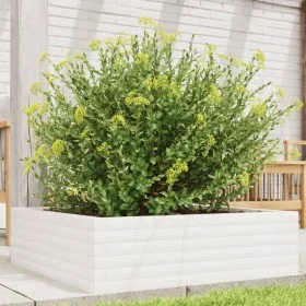 Jardinera de madera maciza de pino blanca 80x80x23 cm de , Maceteros y jardineras - Ref: Foro24-847199, Precio: 76,80 €, Desc...