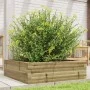Jardinera de madera de pino impregnada 80x80x23 cm de , Maceteros y jardineras - Ref: Foro24-847202, Precio: 69,67 €, Descuen...