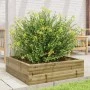 Jardinera de madera de pino impregnada 80x80x23 cm de , Maceteros y jardineras - Ref: Foro24-847202, Precio: 69,67 €, Descuen...